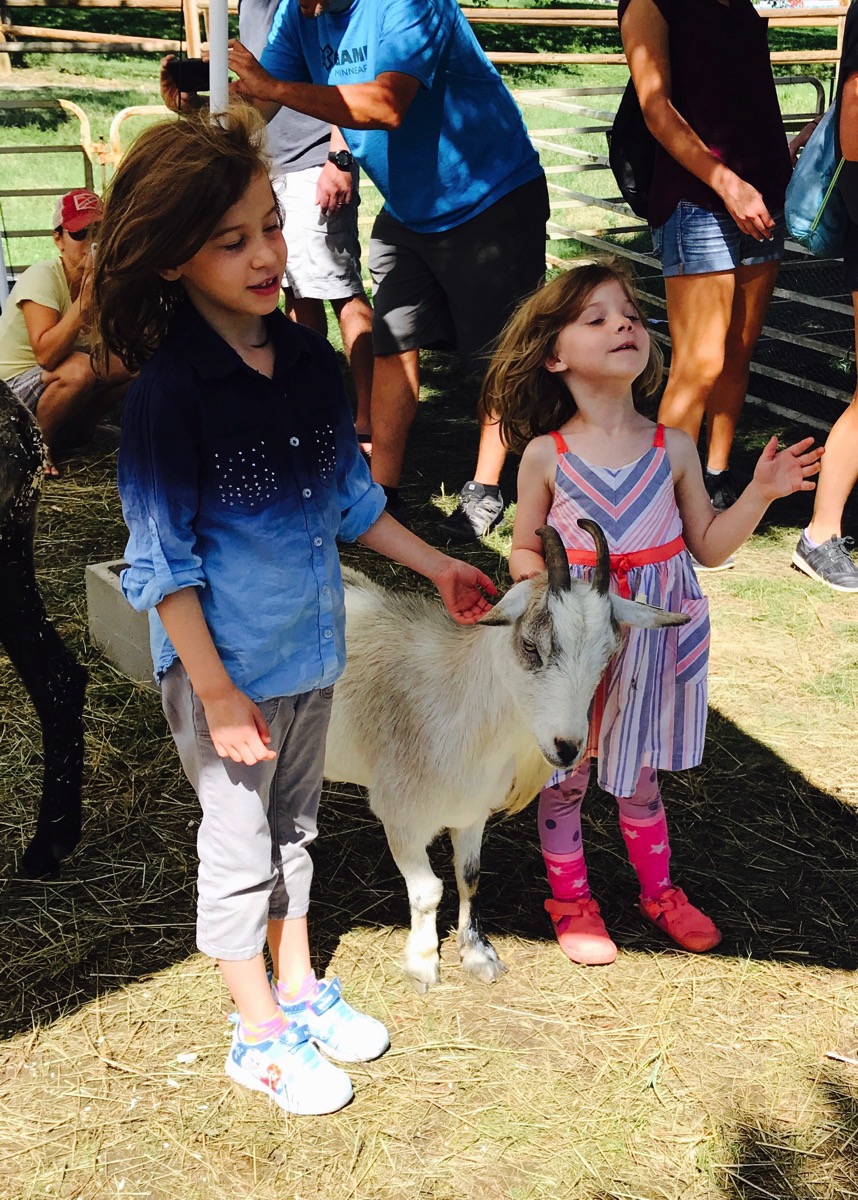 Kids and goat